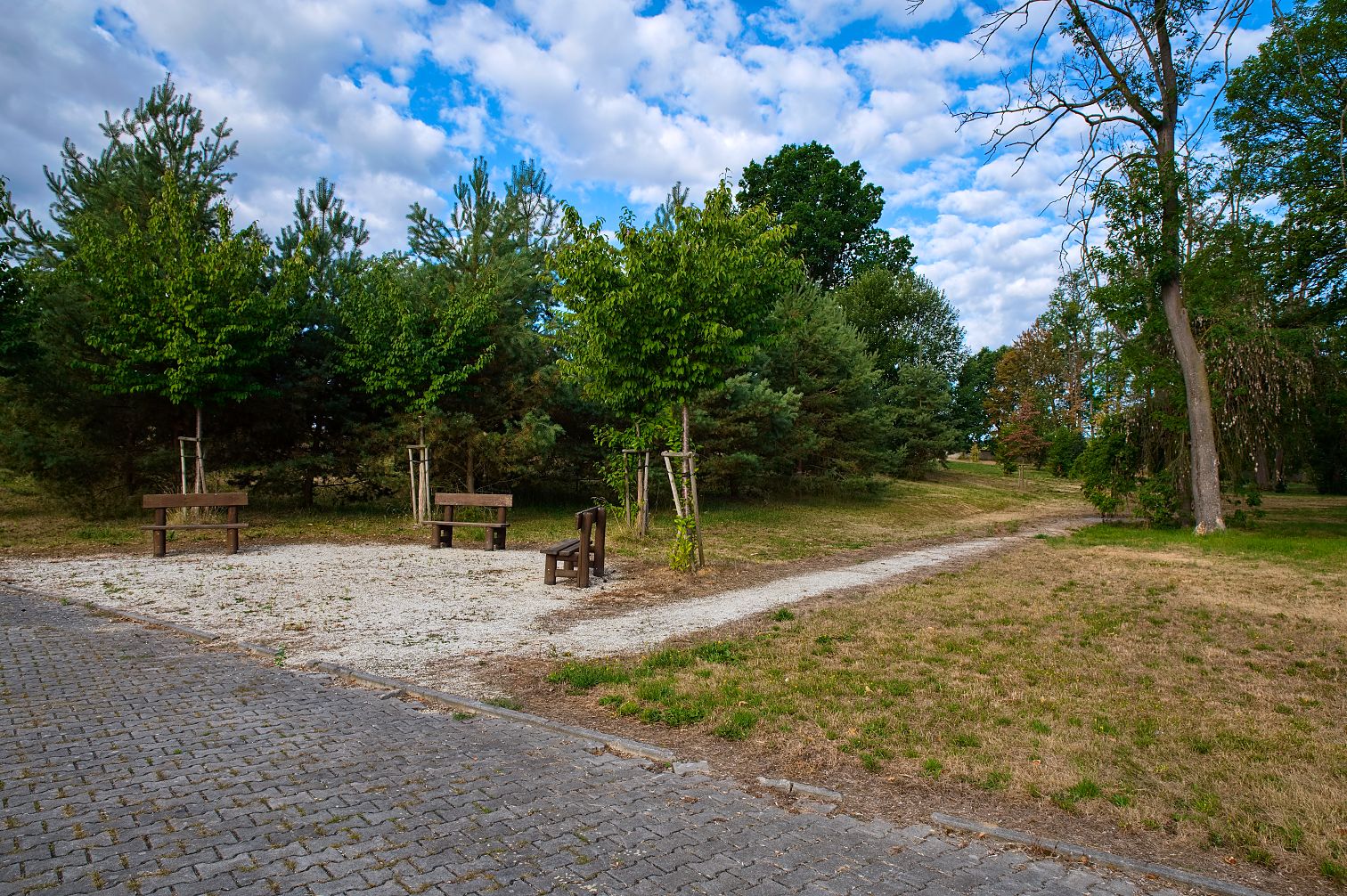 Park v DDŠ